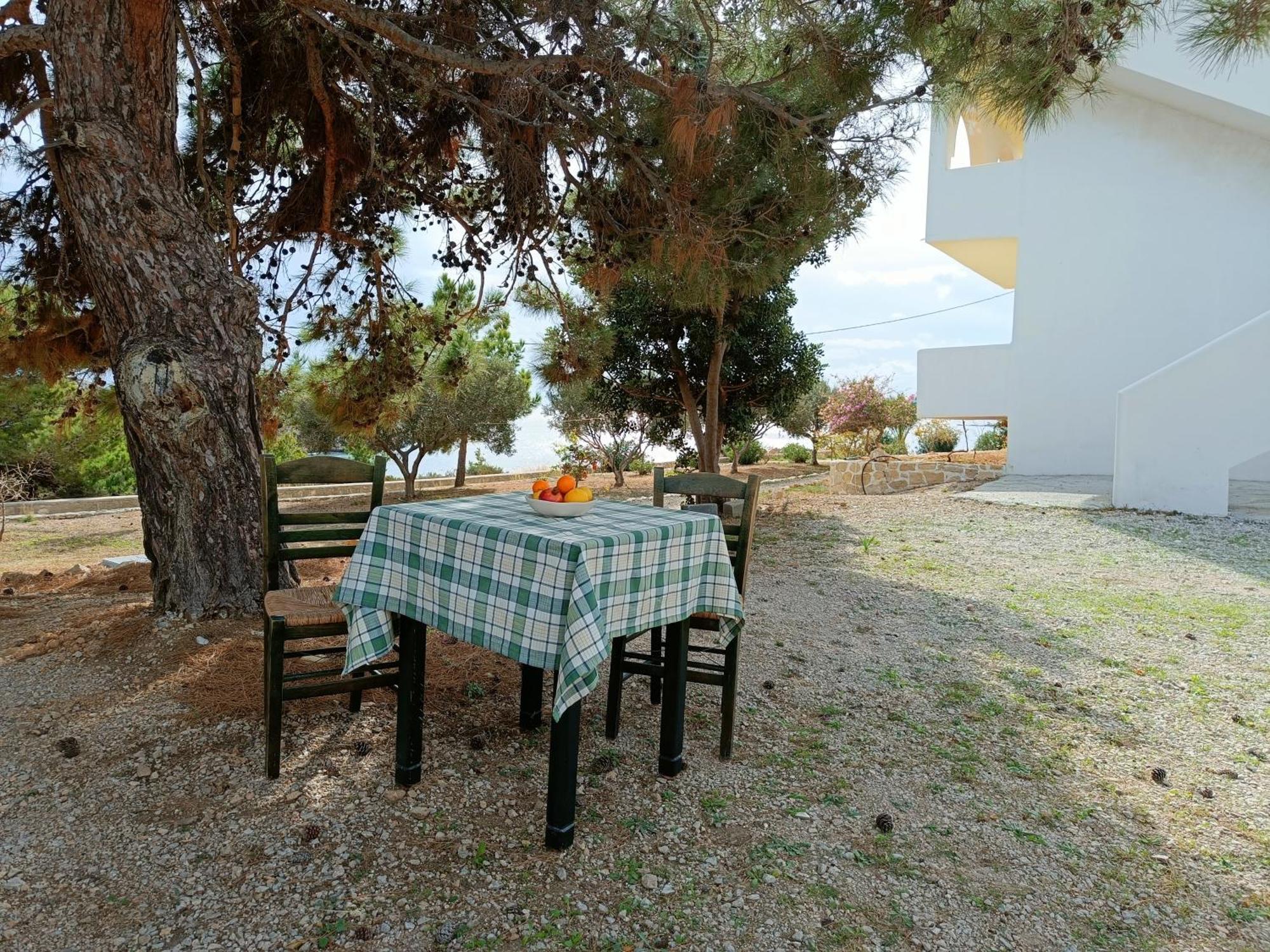 Studios Fokia Beach Amoopí Kültér fotó